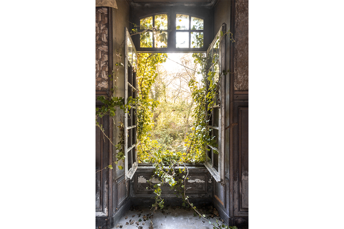 Cadre photo nature style urbex en plexiglas L80 x L120 cm LIERE
